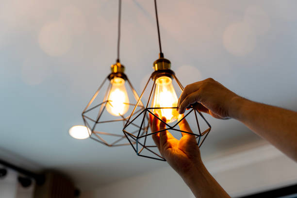 Best Electrical Contractors for Businesses  in Lake Morton Berrydale, WA